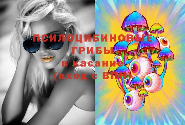 первитин Дмитровск