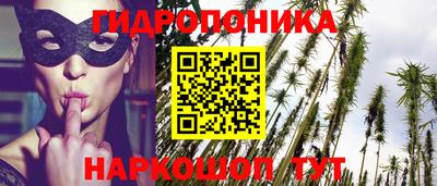 стаф Берёзовский