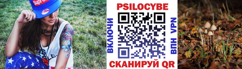 Псилоцибиновые грибы Cubensis  Еманжелинск 