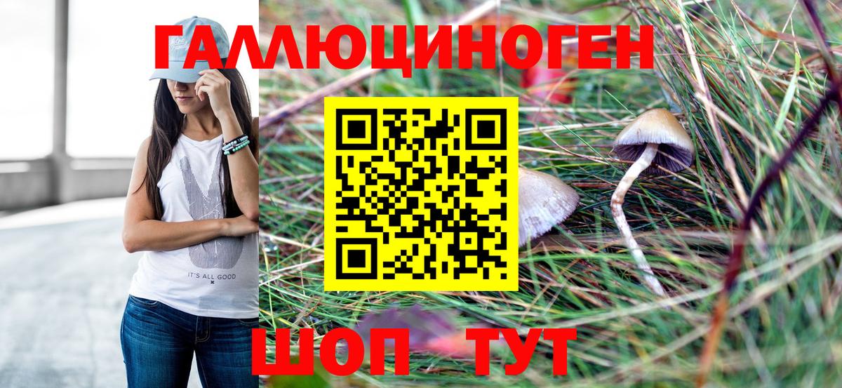 Псилоцибиновые грибы Psilocybe  Еманжелинск 