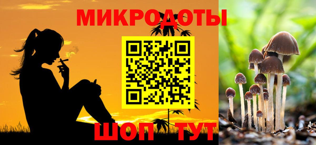 Галлюциногенные грибы Psilocybe Еманжелинск